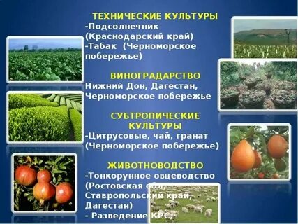 Северный кавказ география 9