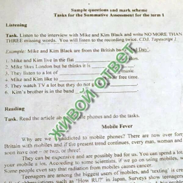 Задание по английскому языку 5 класс write true sentences. Listening task. Listen to the recording twice. Контрольная работа по английскому языку. Summative assessment for 3 grade smiles.