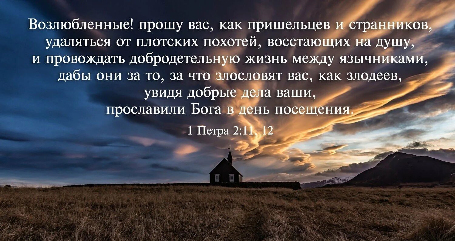 Слова из библии картинки. Картинки с Цитатами из Библии. Открытки со стихами из Библии. Стихи из Библии в картинках. Библейские цитаты.