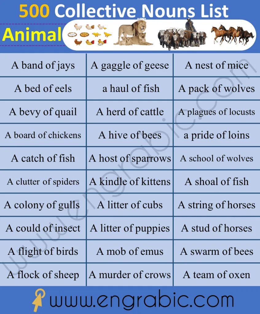 Collective Nouns animals. Collective Nouns for animals. Collection Nouns. Collective Nouns в английском языке.