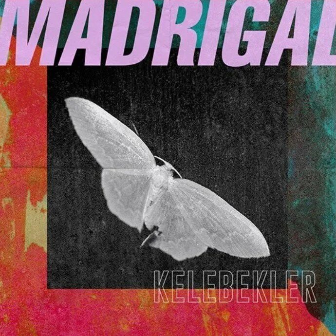 Мирабель мадригаль. Madrigal песни. G. Madrigal перевод. Мотет и мадригал.