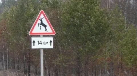 Совсем знаков