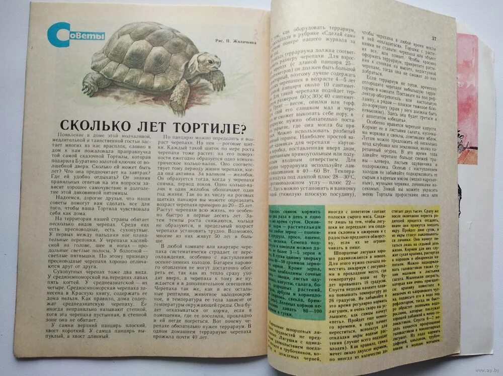 Юный натуралист 5. Журнал Юный натуралист 1991. Дневник юного натуралиста. Страницы красной книги в журнале Юный натуралист. Тетрадь юного натуралиста.