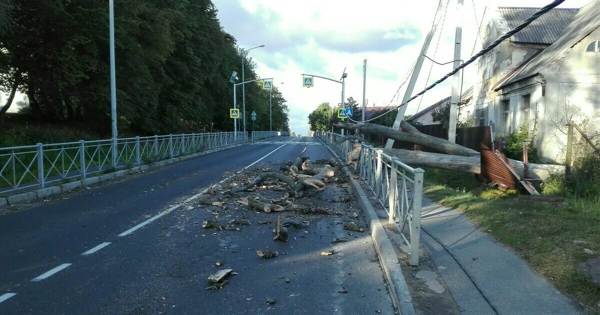 Погода мамоново калининградской на неделю. Мамоново Калининград. Калининград деревня Мамоново. Дорога на Мамоново Калининград. Калининград поселок Мамонова.