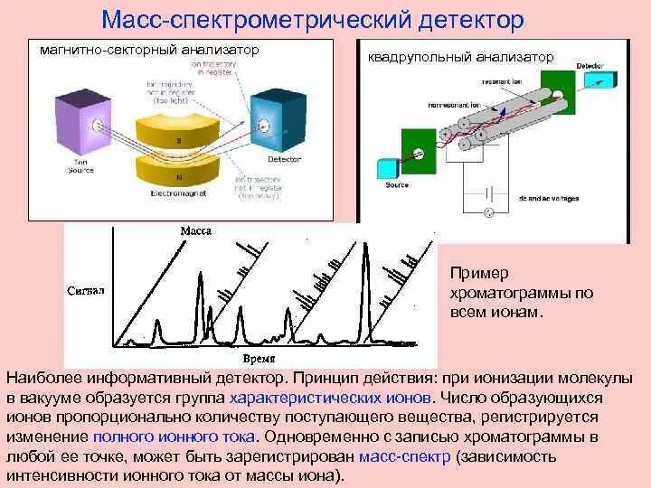 Детекторы гамма-спектрометрии. Масс спектрометр схема установки. Детектор фотопластинка спектрометрия. Магнитный секторный масс-спектрометр. Детекторы газового хроматографа