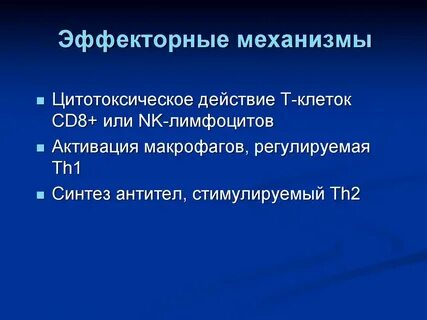 Эффекторные клетки