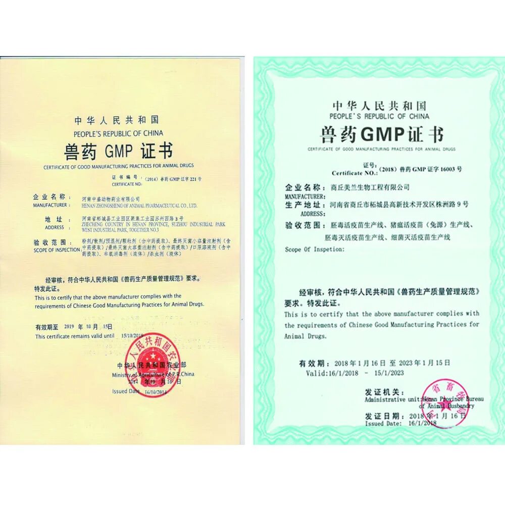 Сертификат gmp что это. Сертификат gmp. (gmp) certificate drugs. gmp сертификат картинка. омакор сертификат gmp.