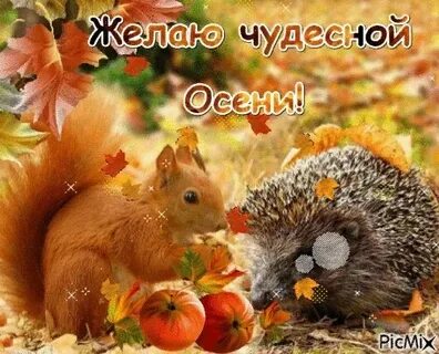 Осень subbota где послушать