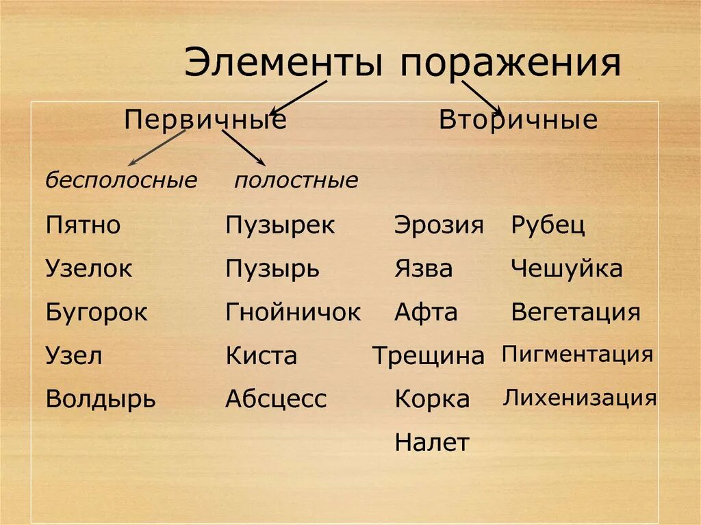 Вторичные элементы поражения