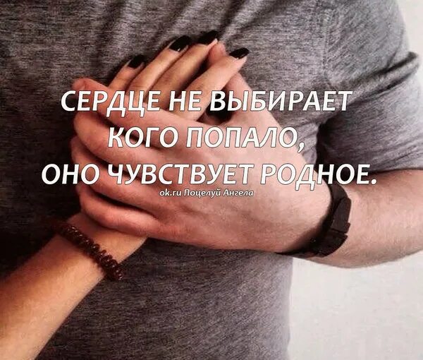 Не выбирай красивую красивых любят все