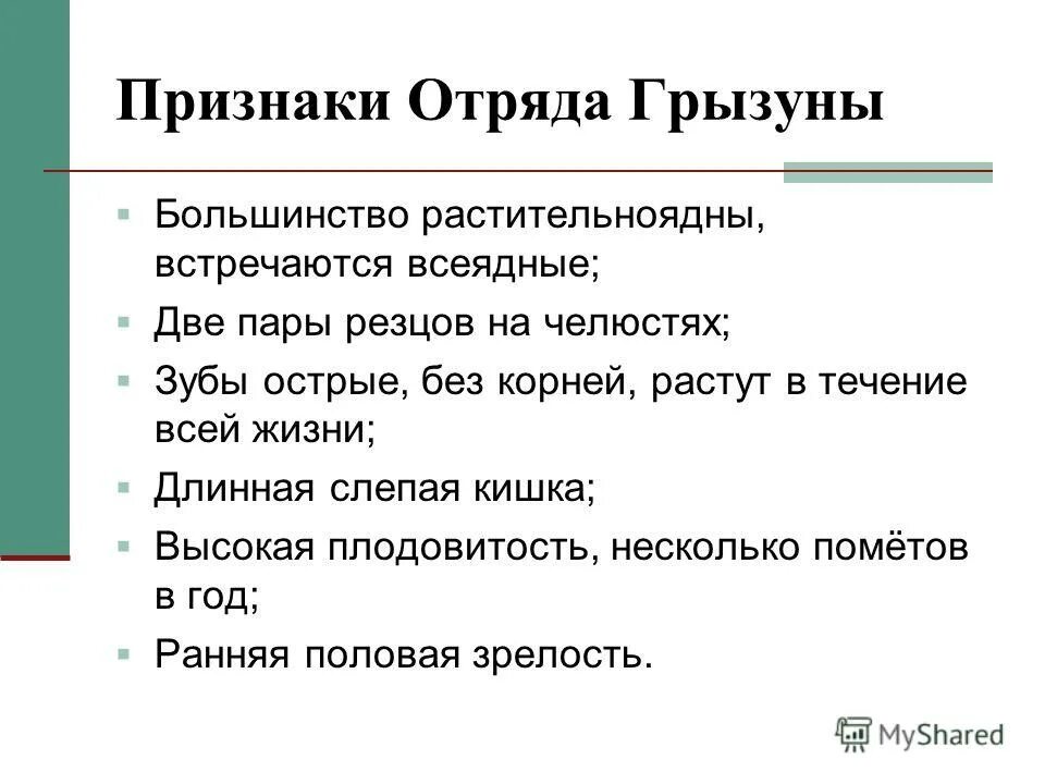 Характерные признаки грызунов. Отряд Грызуны общая характеристика. Признаки характерные для отряда грызунов. Характерные признаки грызунов 7 класс. Признаки отряда Грызуны кратко.