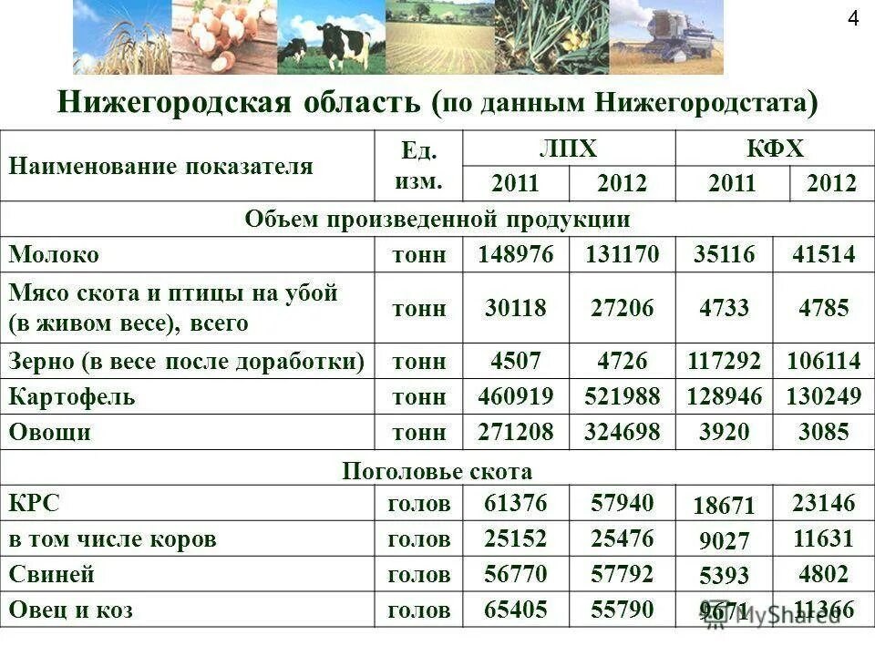 Смета расходов лпх. Пример личного подсобного хозяйства. Затраты на развитие личного подсобного хозяйства. План по развитию личного подсобного хозяйства. Сельское хозяйство разведение КРС.