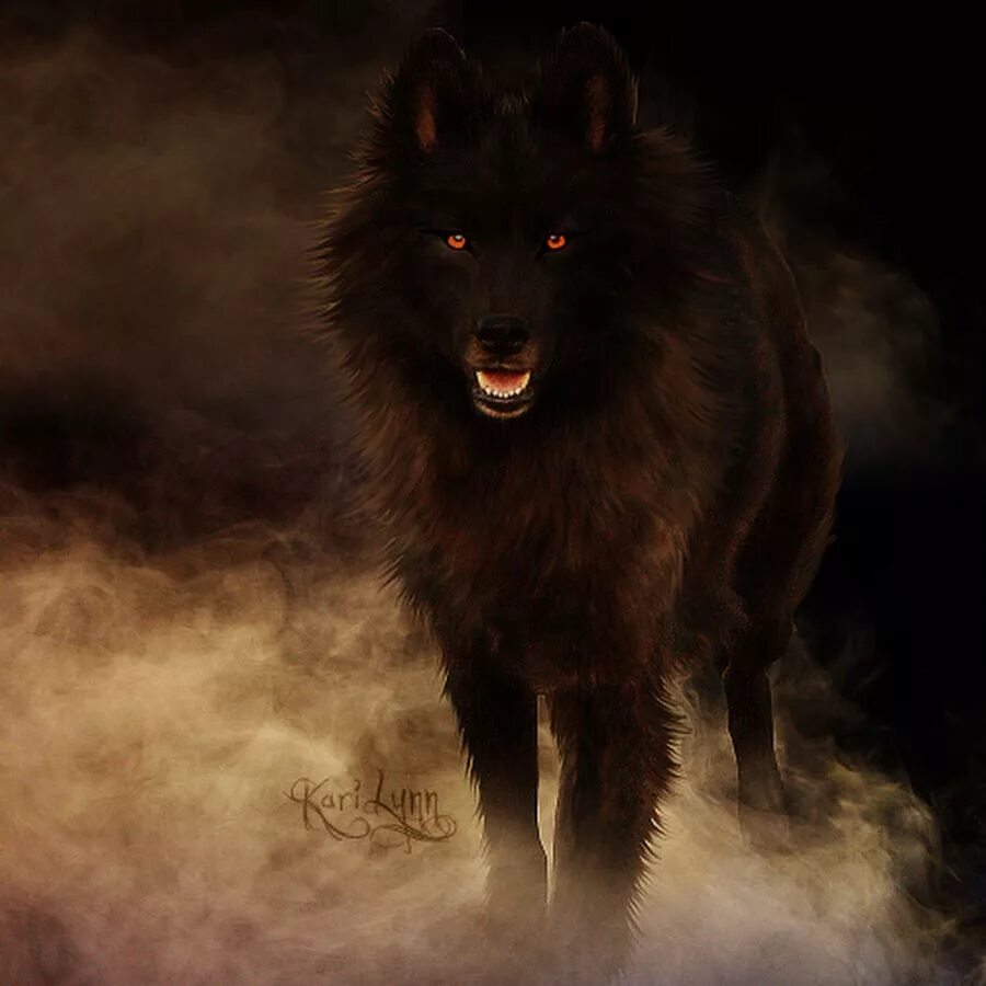 Волк выходит ночью. Глаза волка в темноте. Черный волк в темноте. Чёрный волк с красными глазами. Глаз волка.