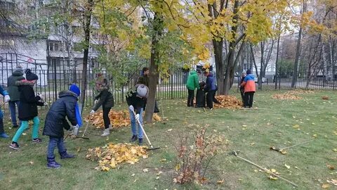 Экологический день в школе