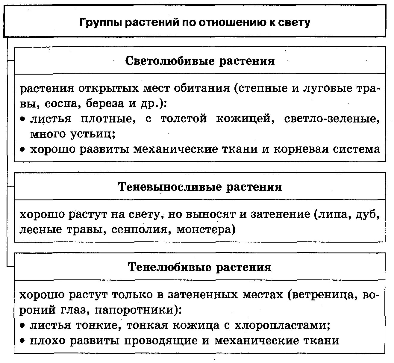 Экологические группы растений по отношению к таблицу. Группы растений по отношению к свету таблица. Группы растений по отношению к свету схема. Группы растений по отношению к свету. Отношение растений к свету.