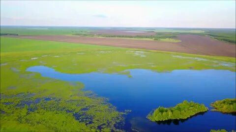 Курган регион
