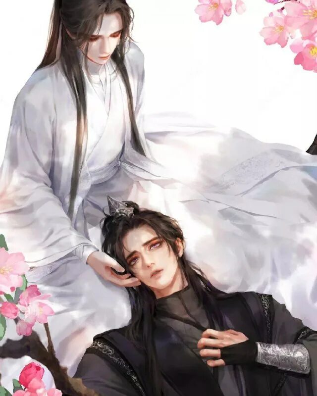 Хаски и его учитель белый кот арт. Мо жань и чу ваньнин хаски. Хаски и его учитель белый кот 73. Чу ваньнин новелла. Хаски и его учитель белый кот маньхуа.