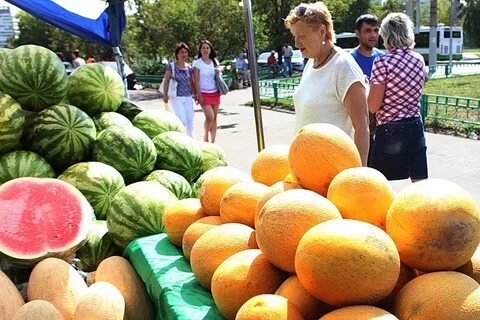 Дынь дынь магазин