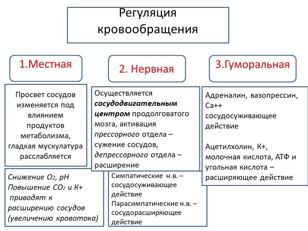 Уровень регуляции функции сосудов. Классификация механизмов регуляции кровообращения физиология. Механизмы регуляции органного кровообращения. Нервная регуляция функций органов кровообращения кратко. Расширение основная роль