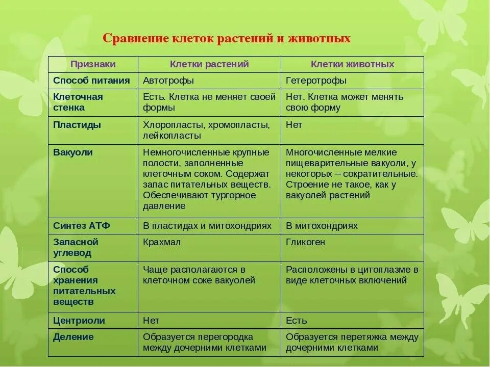 Сходство и различие клеток растений. Сравнение строения клеток растений и животных таблица. Сравнение строения растительной и животной клетки таблица. Сравнение клеток растений и животных. Сравнить строение растительной и животной клетки таблица.