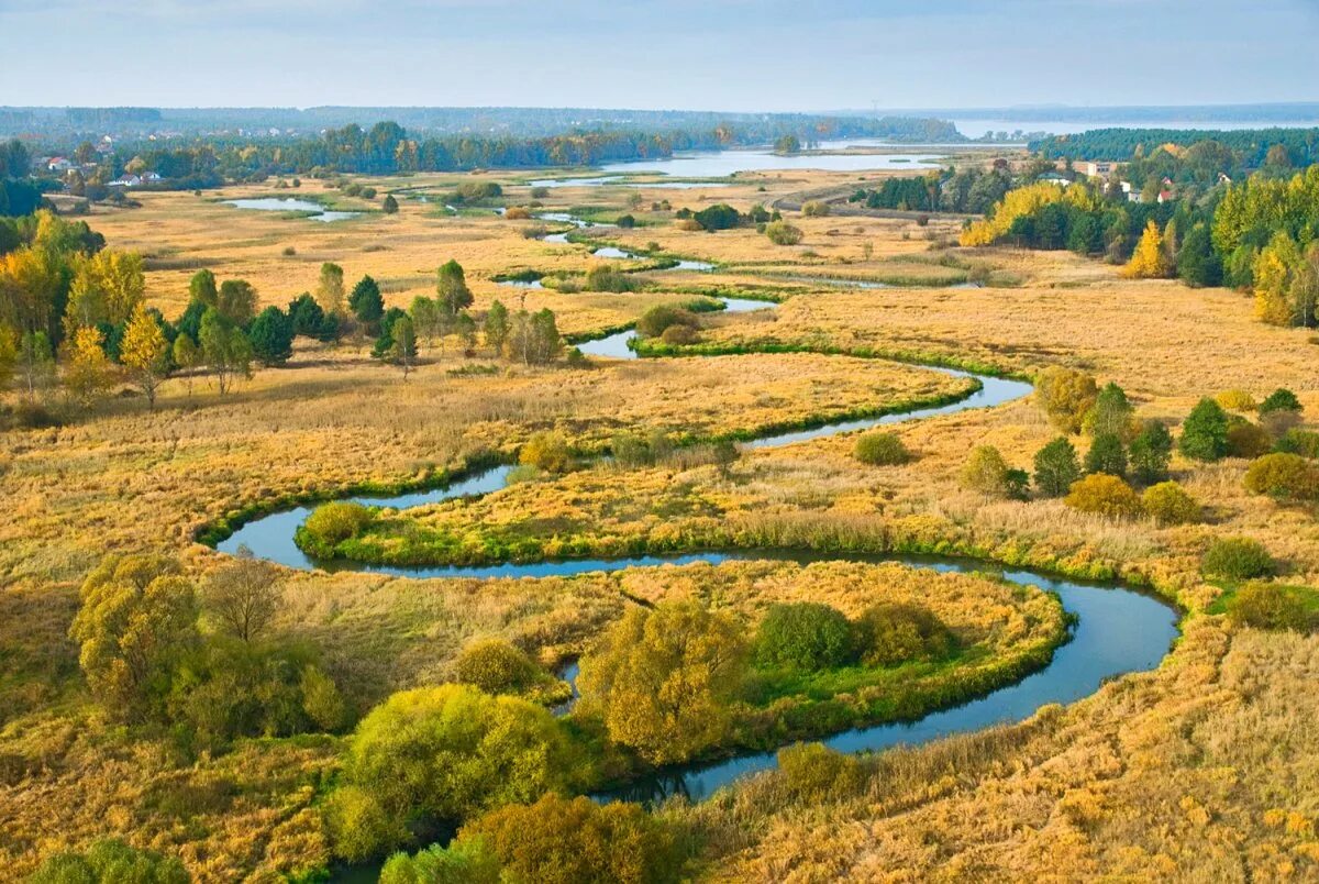 Солотча Извилистая река. Река пьяна Нижегородская область. Исток реки пьяна Нижегородская область. Фото реки пьяна сверху Нижегородская область. Речной изгиб