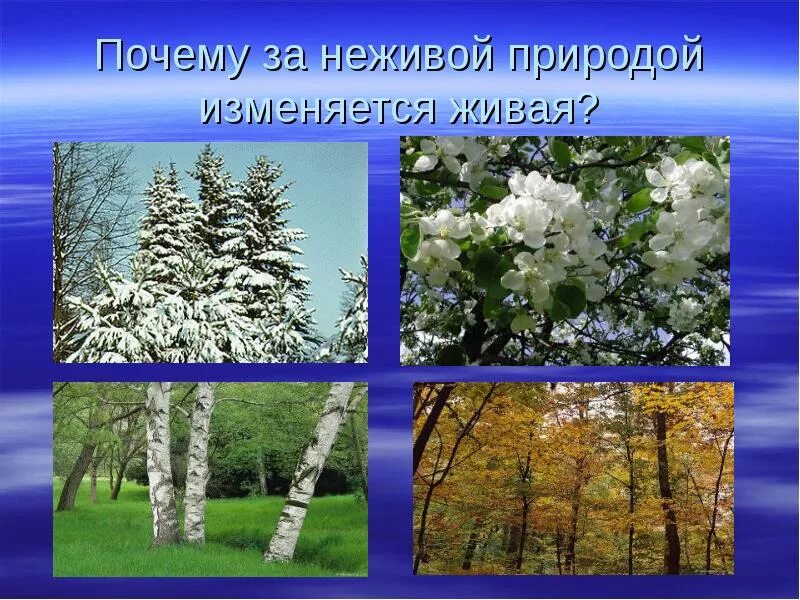 Времена года информатика. Проект на тему времена года. Проект по временам года. Времена года слайд. Презентации по временам года.