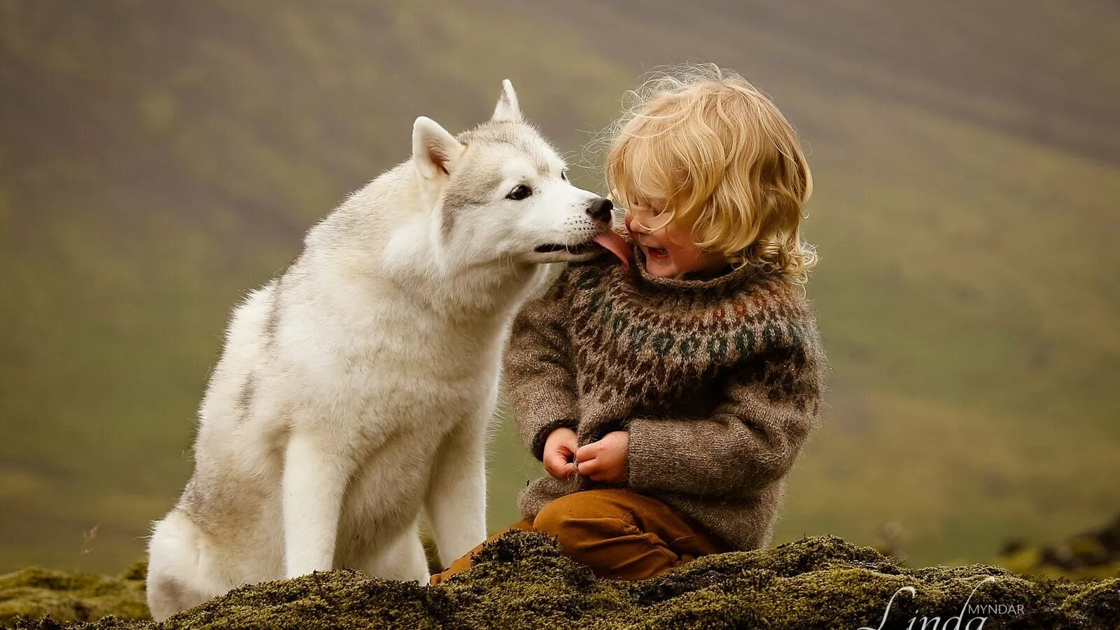 Люди и звери сюжет. Для детей. Животные. Люди и животные. Мальчик с собакой. Мальчик обнимает собаку.
