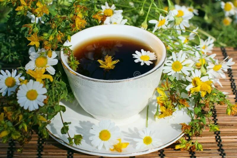 Травяной чай. Чай с травами. Чай "Ромашка". Зверобой травяной чай. Ромашка вместо чая