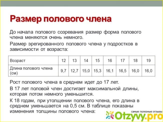 Размеры мужского пола. Средний размер полового члена. размер мужского полового члена. нормы размера полового органа. средний мужской половой орган.