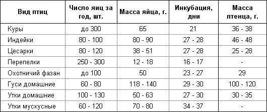 Сколько дней выводятся гусята. Периоды инкубации куриных яиц таблица. Таблица выведение цесарок в инкубаторе. Инкубация несушек таблица. Температурный режим в инкубаторе для куриных яиц таблица.