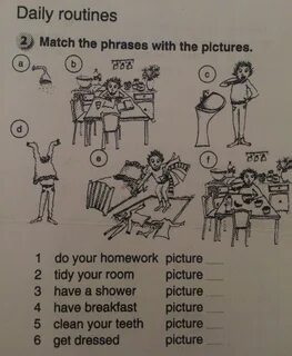Match the vocabulary to the pictures