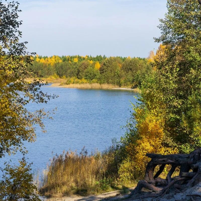Голубые озера вышний волочек. Голубые озера нижневартовск мегион. Удомля отдых. Голубые озера удомля лесная дача. Удомля отдых.