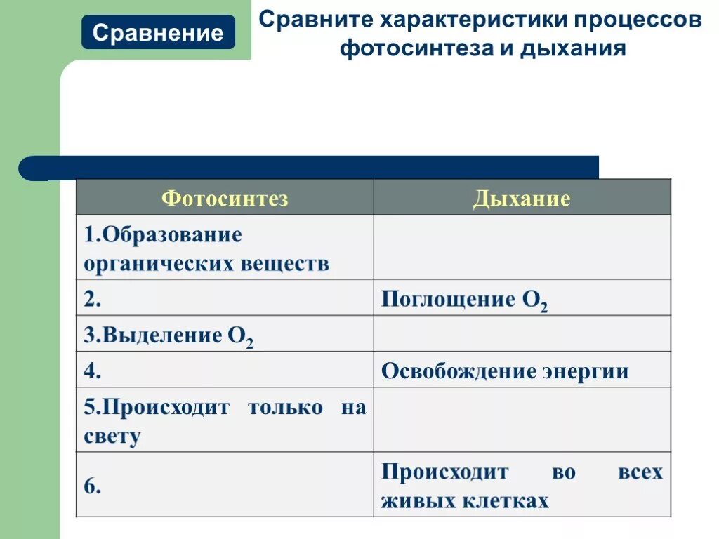 Таблица по биологии 8 класс дыхательная система. Грудное дыхание характеристика. Определение типа дыхания у детей. Строение и функции дыхательной системы таблица. Глубина дыхания таблица.