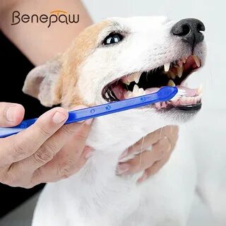 Чем чистить зубы собаке