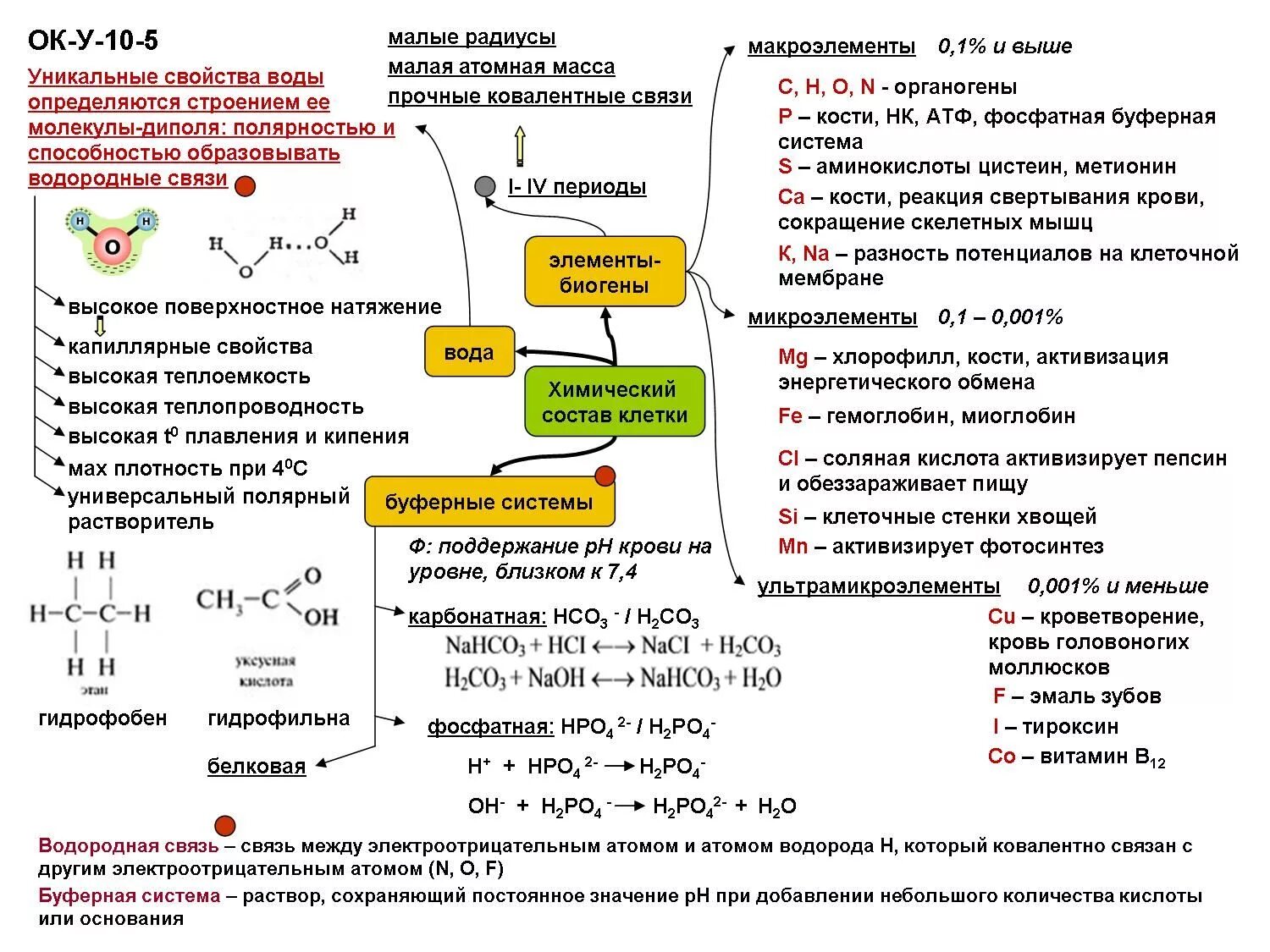 Химические соединения биология. Химический состав клетки ЕГЭ теория. Неорганические вещества клетки конспект 10 класс биология. Химический состав клетки ЕГЭ биология теория.