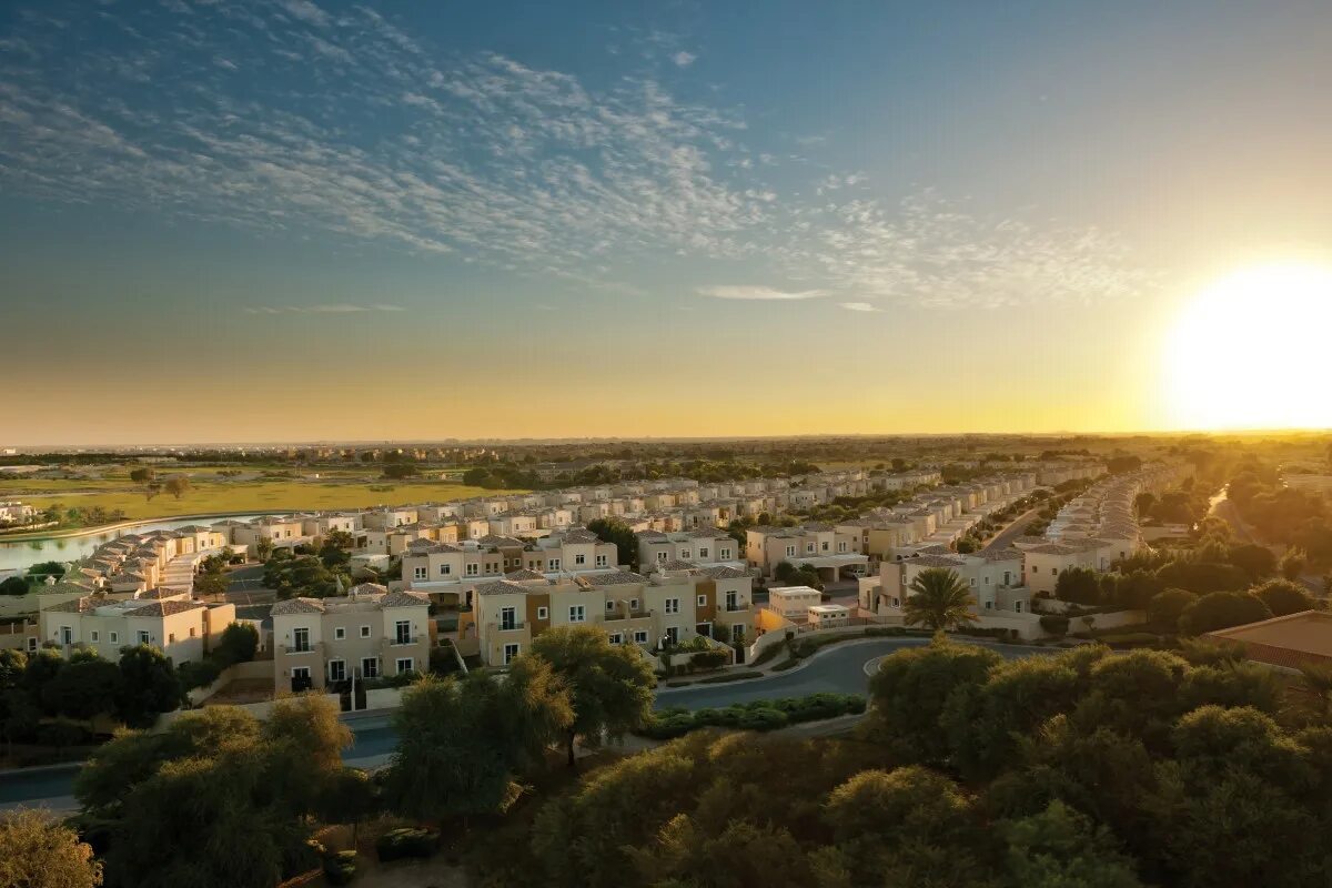 Араб конь. Арабская лошадь. Sunrise grand select шарм эль шейх. Отель санрайз арабиан шарм-эль-шейх. Арабиан фото.