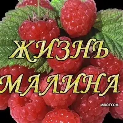Читать малинка