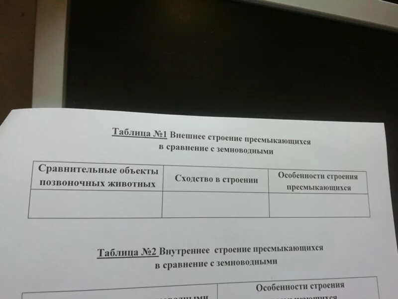 Каковы особенности внешнего строения пресмыкающихся. Каковы особенности внешнего строения пресмыкающихся