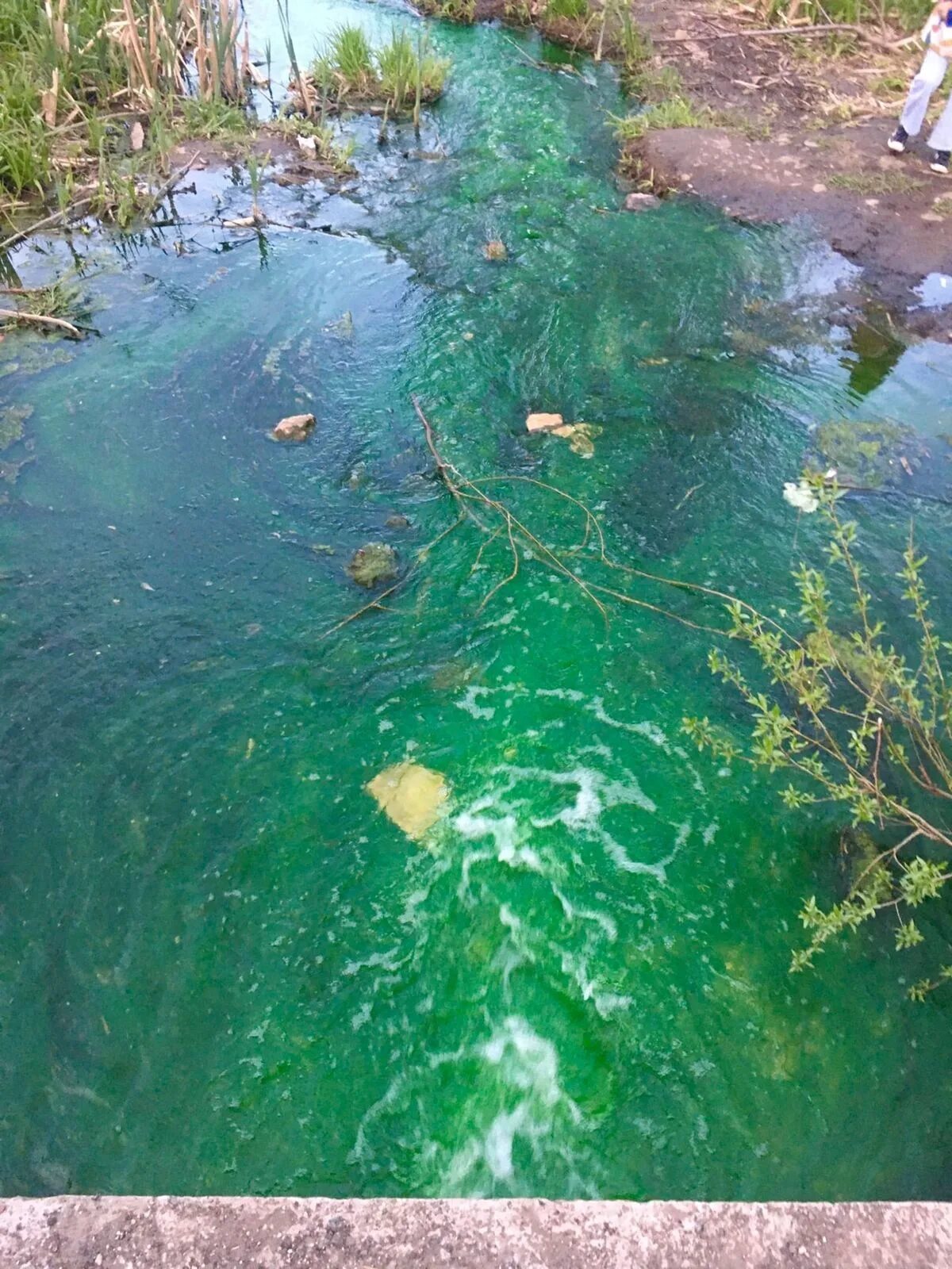 Сброшенные сточные воды. Что загрязняет воду. Щегловский ручей Тула. Ручьи Тульской области. Почему вода тула