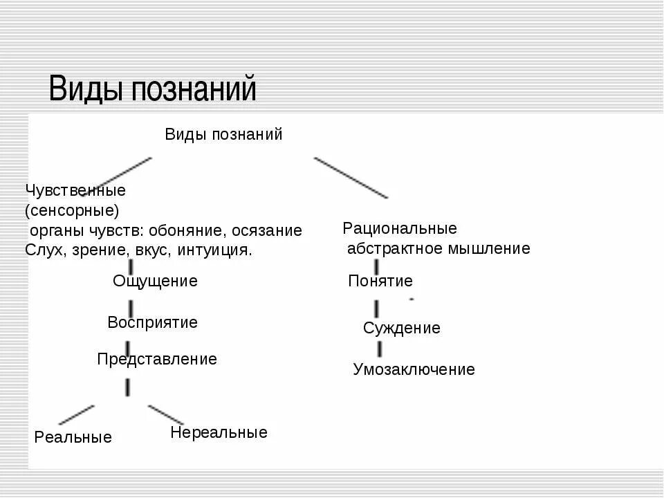 уровни и формы познания в философии. формы познания мира философия. основные формы познания примеры. основные формы чувственного и рационального познания. формы знания обществознание.
