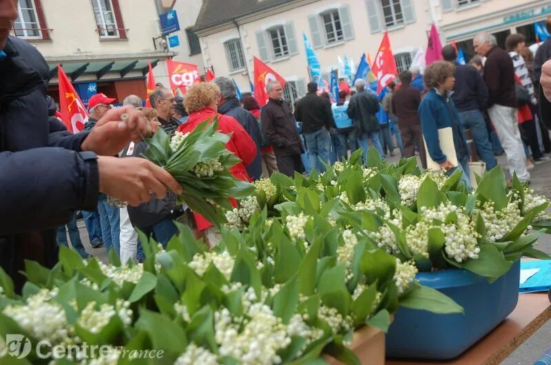 Мойка 1 мая. 1 Мая во Франции. 1 Мая во Франции праздник. Праздник ландыша во Франции. Первое мая день ландыша во Франции.