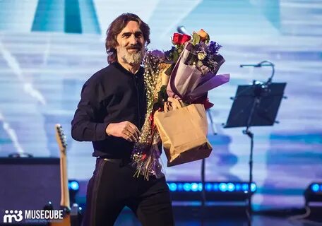 Musecube голосование