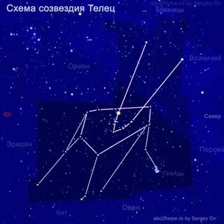 Схема тельца