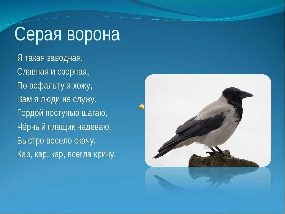 Вороны 3 русская язык. Стихи о вороне. Стих ворона. Стихотворение про ворону. Стих про ворону для детей.