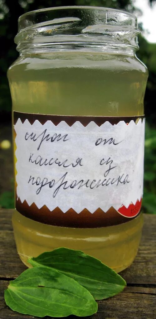 Подорожник рецепт. Сок настой подорожника. Подорожник с медом. Варенье из подорожника. Сок из подорожника приготовление.