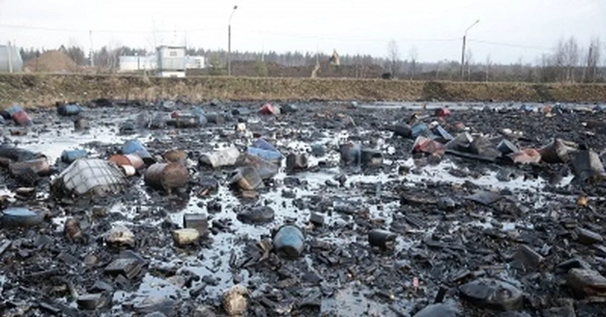 Полигон химических отходов красный бор. Красный бор ленинградская область. Полигоны химических отходов. Хим. Тбо красный бор.