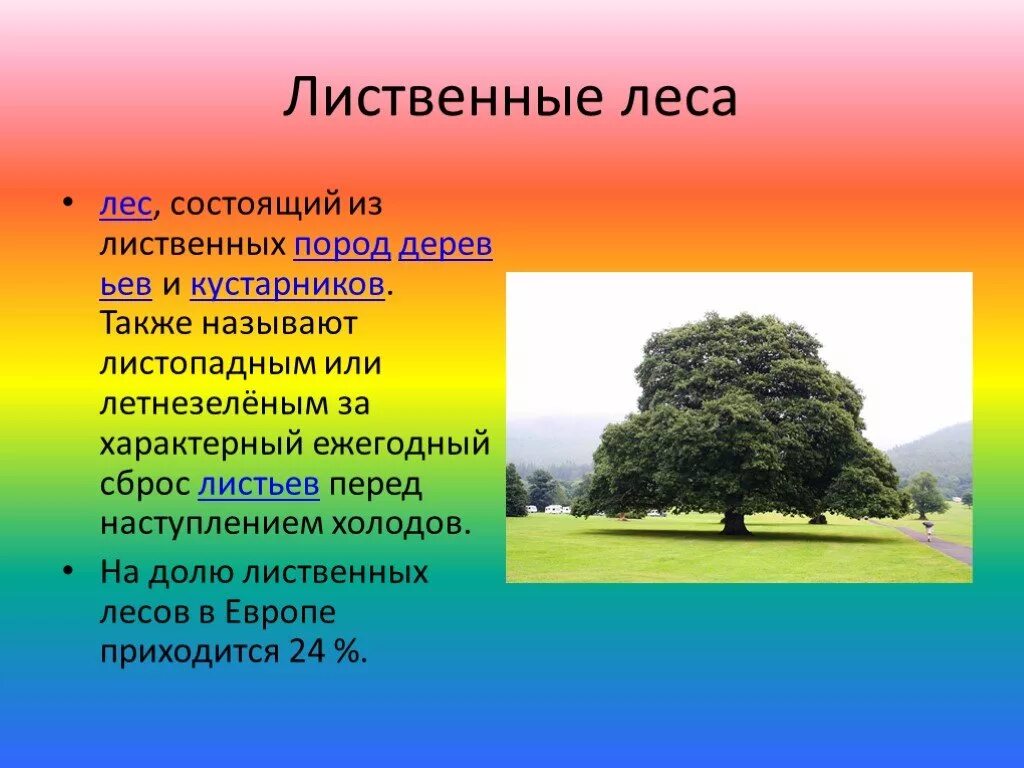 Климат лиственных лесов умеренных поясов. Животный мир лиственных лесов умеренных поясов. Растительный мир лиственных лесов умеренных поясов. Лиственные леса растения и животные. Лиственные леса умеренного пояса.