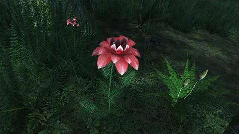 Skyrim plants