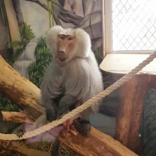 Наше лукоморье тюмень