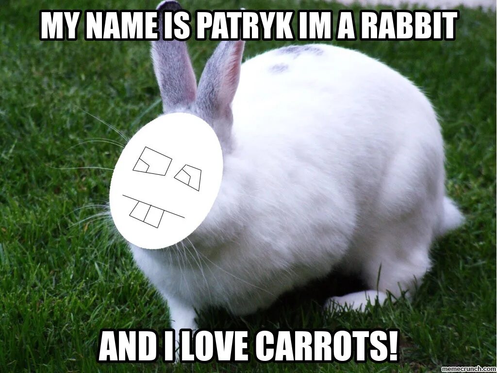 Rabbit memes. Кролик Мем. Мемы с кроликами. Кролик с мемом. Бородатый заяц.